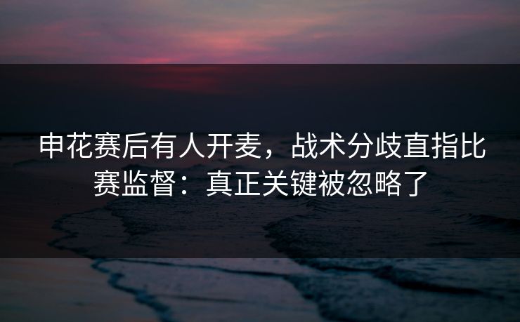 申花赛后有人开麦，战术分歧直指比赛监督：真正关键被忽略了