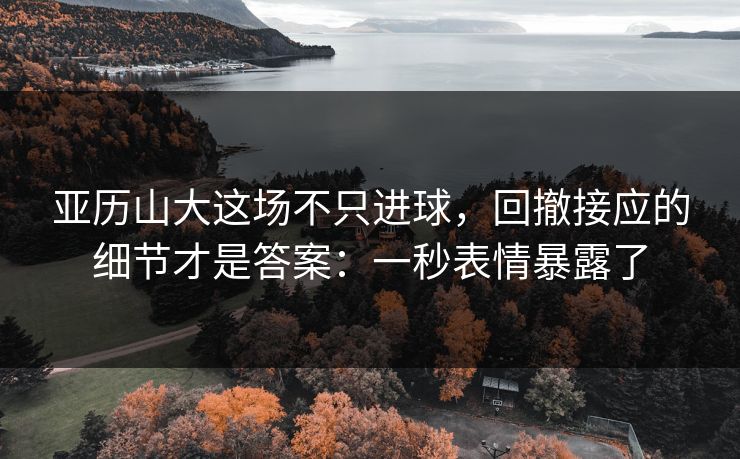 亚历山大这场不只进球，回撤接应的细节才是答案：一秒表情暴露了