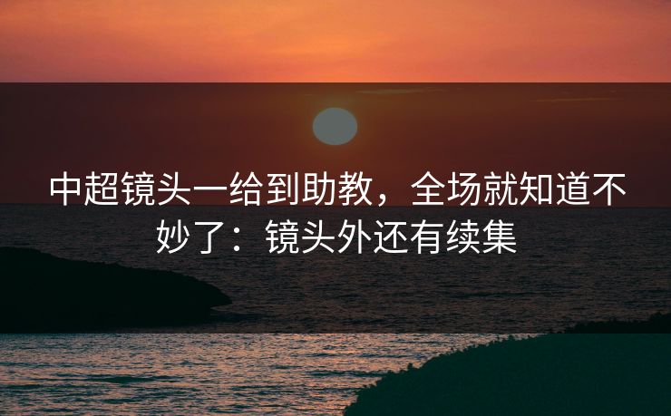 中超镜头一给到助教，全场就知道不妙了：镜头外还有续集
