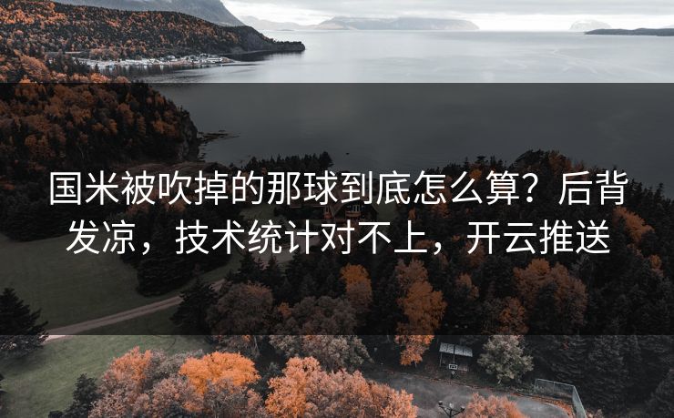 国米被吹掉的那球到底怎么算？后背发凉，技术统计对不上，开云推送