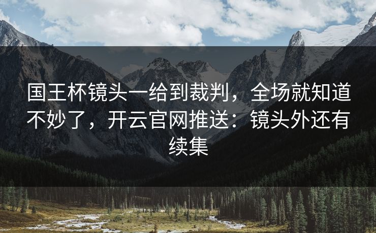 国王杯镜头一给到裁判,全场就知道不妙了,开云官网推送:镜头外还有续集